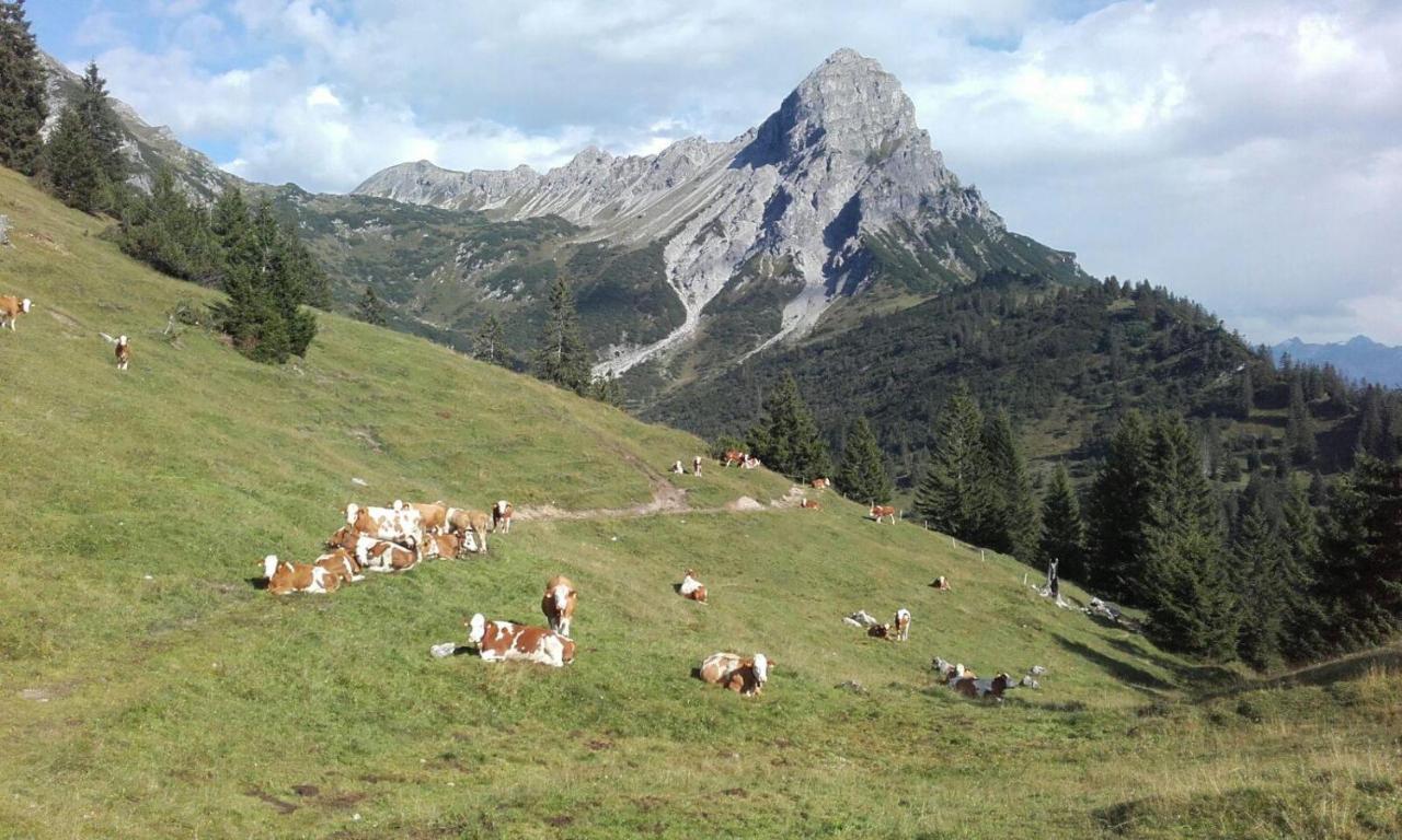 Vila Burtscherhof In Braz Ausserbraz Exteriér fotografie